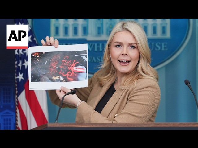 Leavitt says Insurrection Act is a 'tool at the president's disposal'