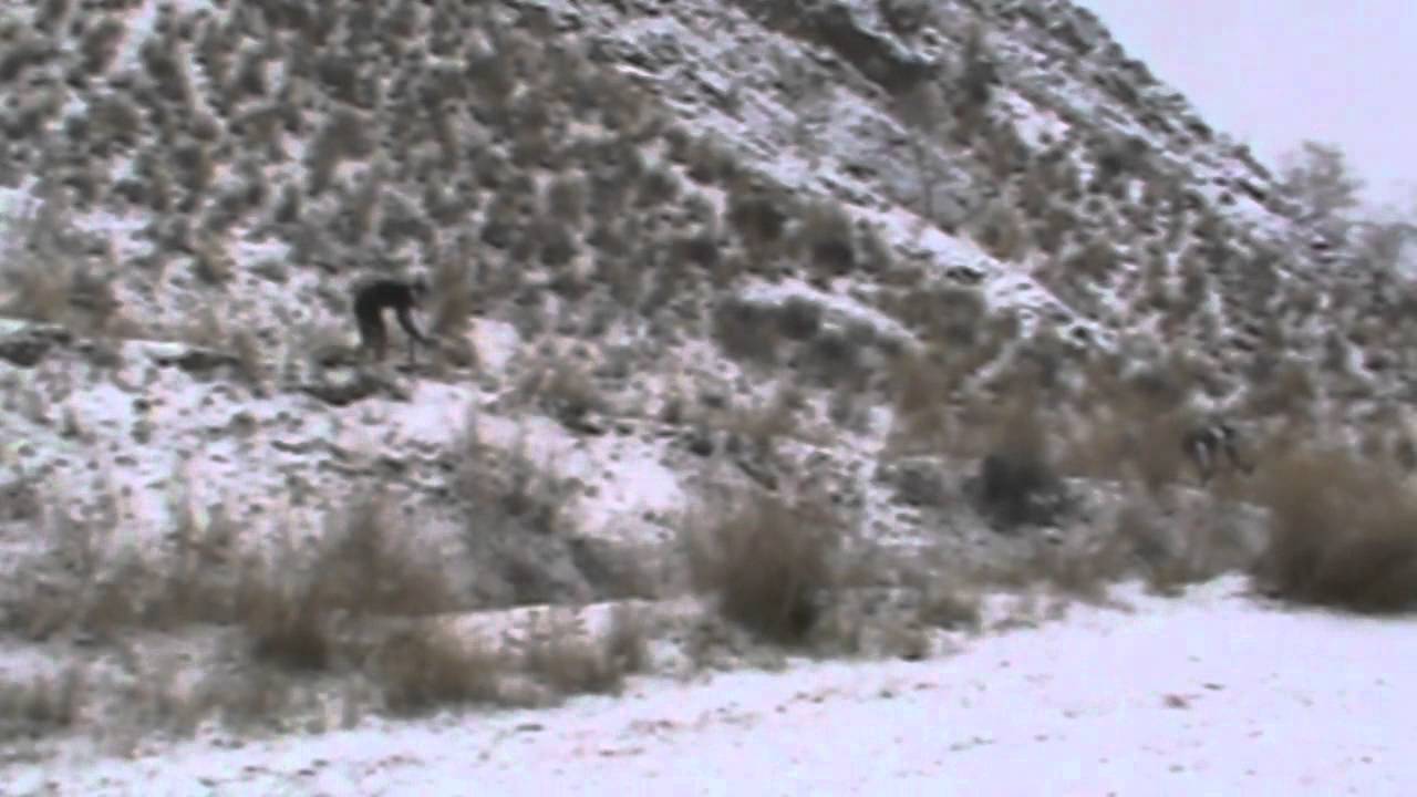 Kelowna CycloCross Video