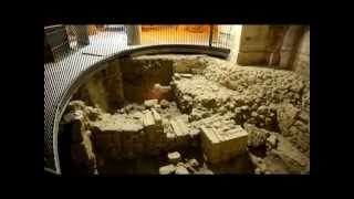 aviatours - Explora Acre de los Cruzados