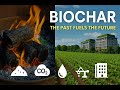 Unlocking Biochar's Power: A Green Solution for Soil, Carbon & Construction