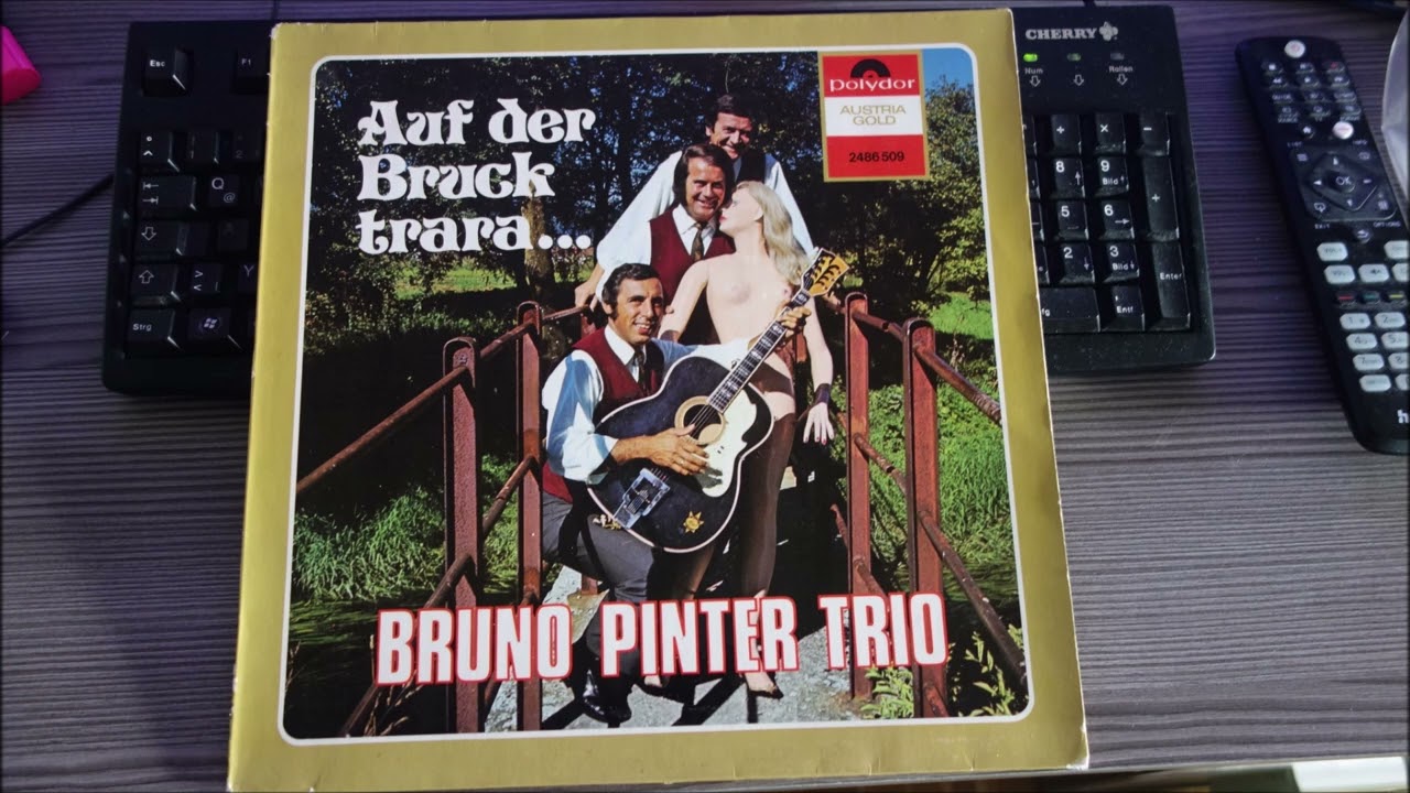 BRUNO  PINTER TRIO  aus  der bruck   12  TITEL 1988