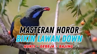 LIVE‼️ CUCAK CUNGKOK FULL GACOR🔥 3 TEMBAKAN ISTIMEWA 😱 (Kunti – Gereja – Bajing)