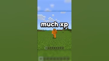 DE BESTE EN SNELSTE MANIER OM XP TE KRIJGEN!