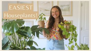 The 5 EASIEST houseplants for beginners! 🪴