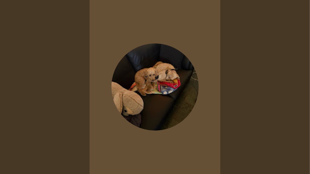 Installing Windows 11 insider preview Canary Channel alongside Linux Mint on a Dell Optiplex 9010