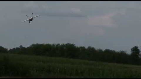 Acromaster Multiplex