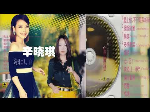 【那些熟悉的歌】辛晓琪《 爱上他 , 不只是我的错 》