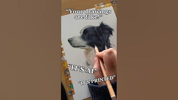 “Your Drawings Are Fake AI!” #aiart  #bordercollie #drawing #artist