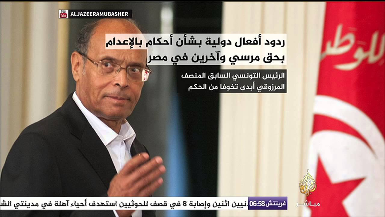 ردود الأفعال الدولية بشأن أحكام الإعدام في مصر