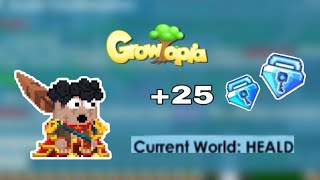 Profit 25 Bgl ? Growtopia