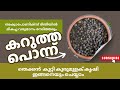 മണ്ണില്ലാതെ കുരുമുളക് കൃഷി. മികച്ച വരുമാനം നേടാൻ ഇതാ 2 മാർഗങ്ങൾ @AbdulrasheedVaishyamveettil
