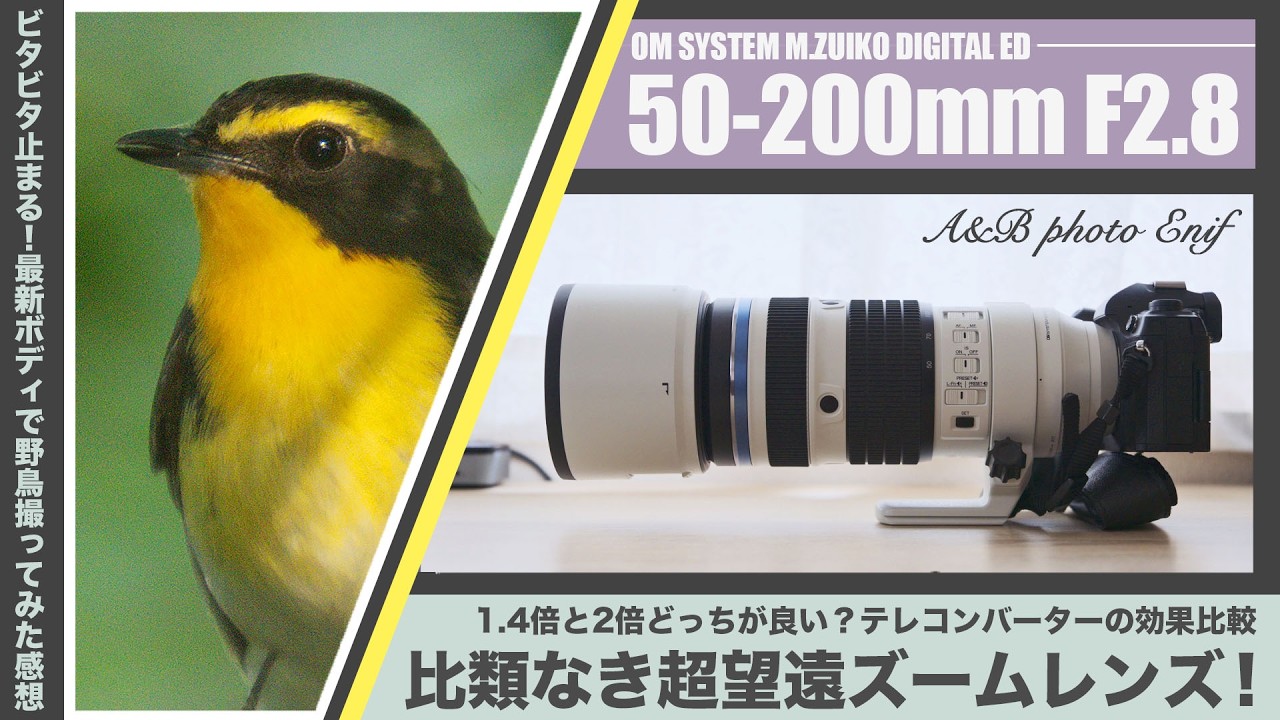 An Unrivaled Super-Telephoto Zoom! OM SYSTEM M.ZUIKO DIGITAL ED 50