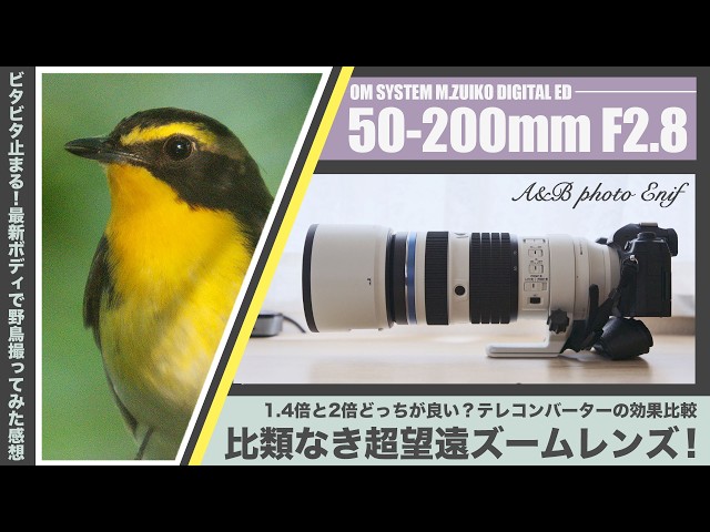 An Unrivaled Super-Telephoto Zoom! OM SYSTEM M.ZUIKO DIGITAL ED 50