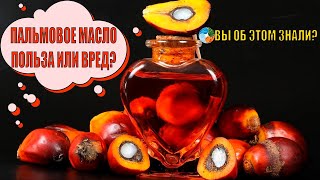 Пальмовое масло - полезное или нет?