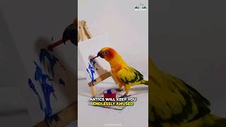 Sun Conure | The Brilliant And A Beautiful Parrot