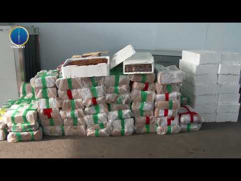 საბაჟო წესების დარღვევის ფაქტი