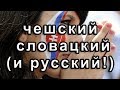 👂🏼 Чешский и словацкий (и русский!): как и почему понимаем друг друга?