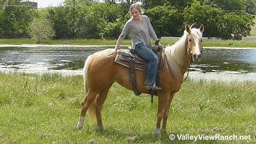 Goldi Flight - riding on the flat - ValleyViewRanch.net