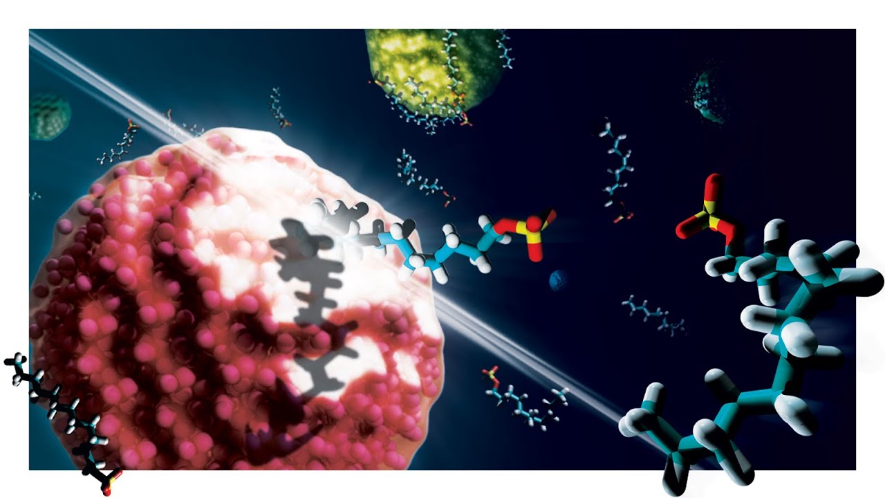 Steered Molecular Dynamics (SMD) to Explore Free Energy Landscape To ...