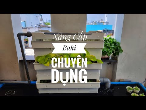 Video Fish 82: Nâng cấp lọc | Lên dàn baki chuyên dụng của... - youtube