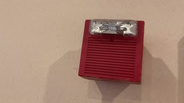 Wheelock AS And System Sensor SpectrAlert Advance At Bob Evans