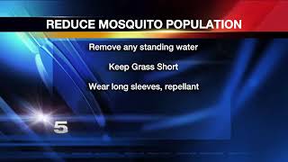 Authorities to Spray for Mosquitoes Throughout Cameron County