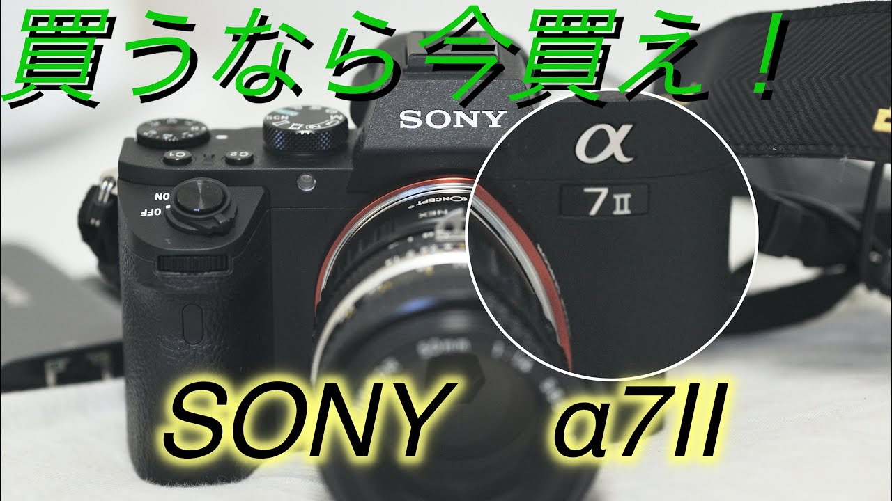 【レビュー】2019年最後の動画！α7 ii レビュー 今年最後に買った最高のカメラ！