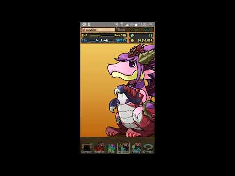 Dragonbound: Wings of Magic Heroine REM Banner Guide