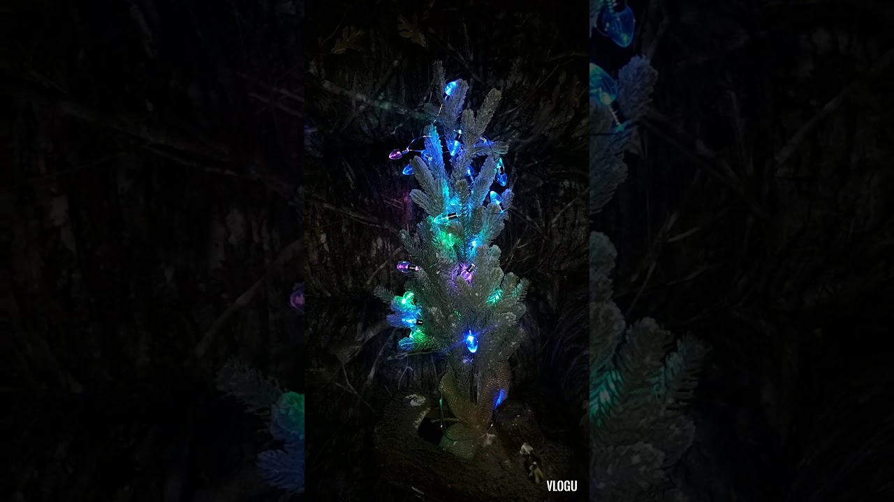 Christmas tree ADVENTURES. Soon, you will follow Christmas tree