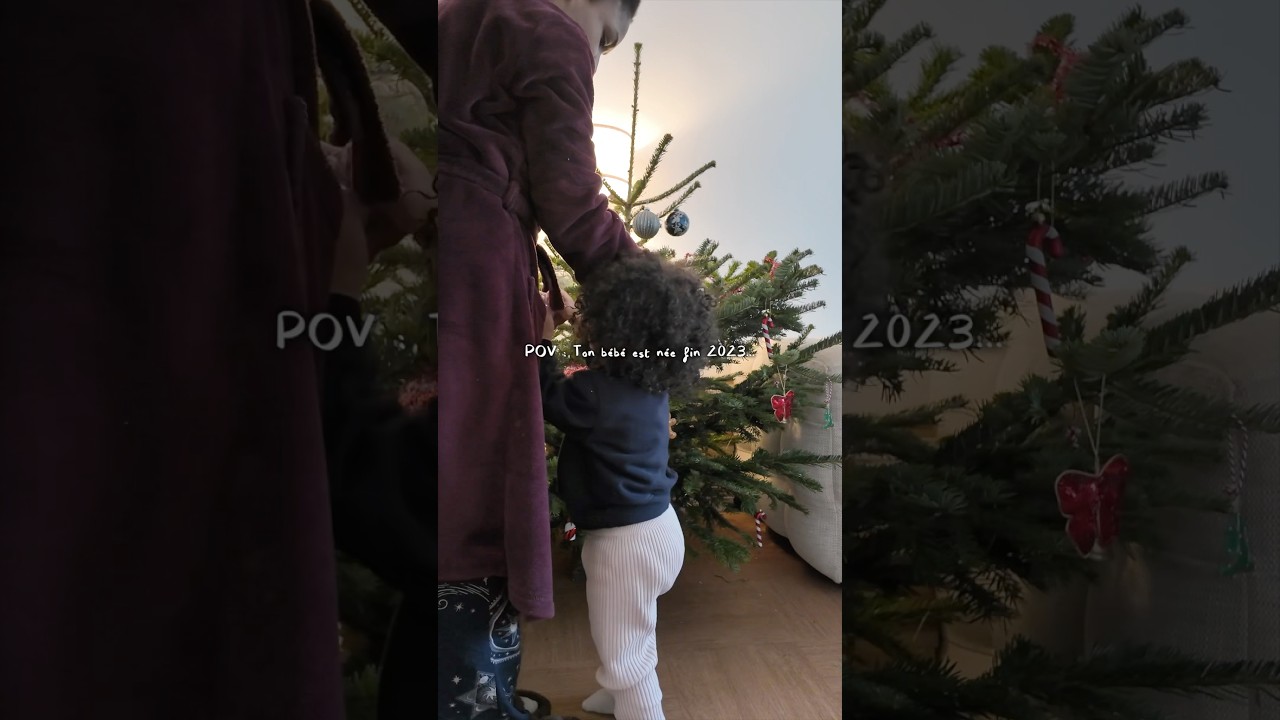 Joyeux Noël 🎄✨