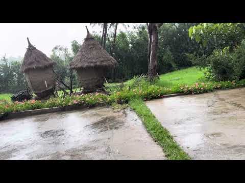 Bole Bulbula Park Is Better In The Rain