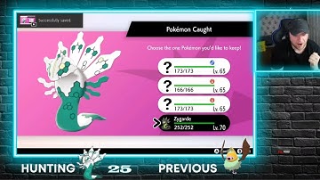 DOUBLE Shiny Live Reaction | Shiny Zygarde Dynamax Adventures