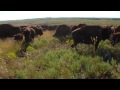 CATV47 - Bridging The Gap :30