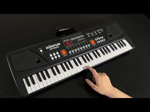 BIGFUN 61 Keys Electronic Organ