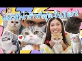 แมวทั้ง 4 ที่บ้านฉัน นิสัยยังไง? | icepadie x toh virunan