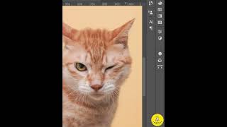 دروس فوتوشوب و أفكار - photoshop tutorial
