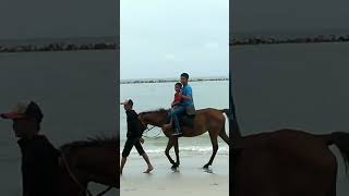 Jalan Jalan Di Pantai Pasir Padi