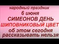 6 июня народный праздник Симеонов день. Народные приметы и традиции. Что делать нельзя.