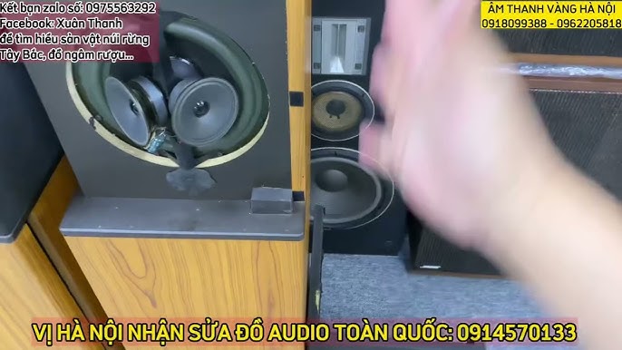 HƯỚNG DẪN TUYỆT CHIÊU NHẬN BIẾT LOA BOSE XỊN (không phải ai cũng ...