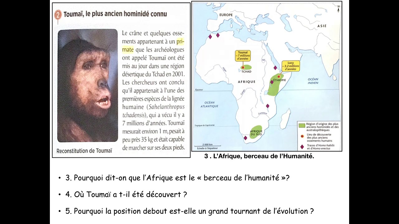 Thème 1 sq1 Les débuts de l’humanité 6eme part 1 et2 - YouTube