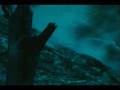 Dir en grey - 304 Goushitsu, Hakushi no Sakura  PV