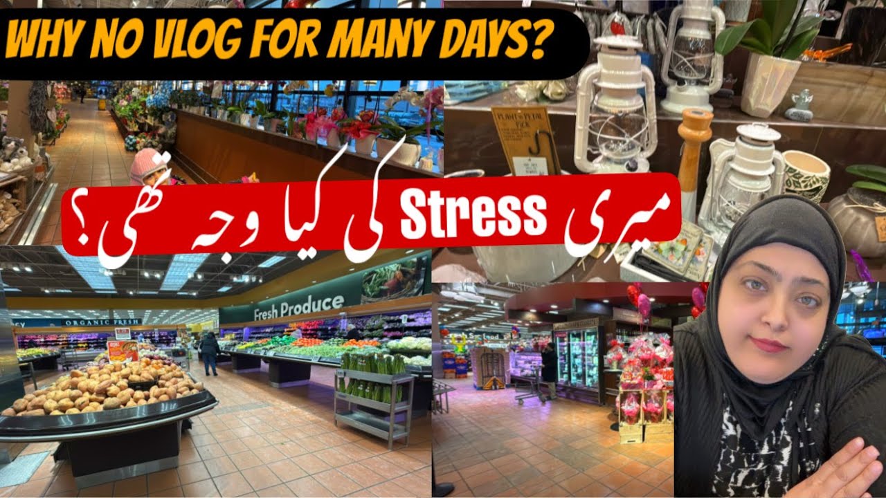 Meri Stress ki Kiya Wajah Thi? | Why No Vlog For Many Days? | Single Mom Struggles in Canada