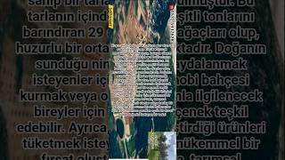 Satılık Hobi Bahçesi Ve Tarla Kuyucak Küme Evleri, Küçük Kuyucak Mevkii, Menteşe, Muğla.