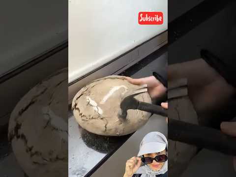 هذا مو عجين كيف حفظوا أجدادنا في سوريا العنب بالطين أسرار الحضارات القديمة مقاطع سوريا تاريخ