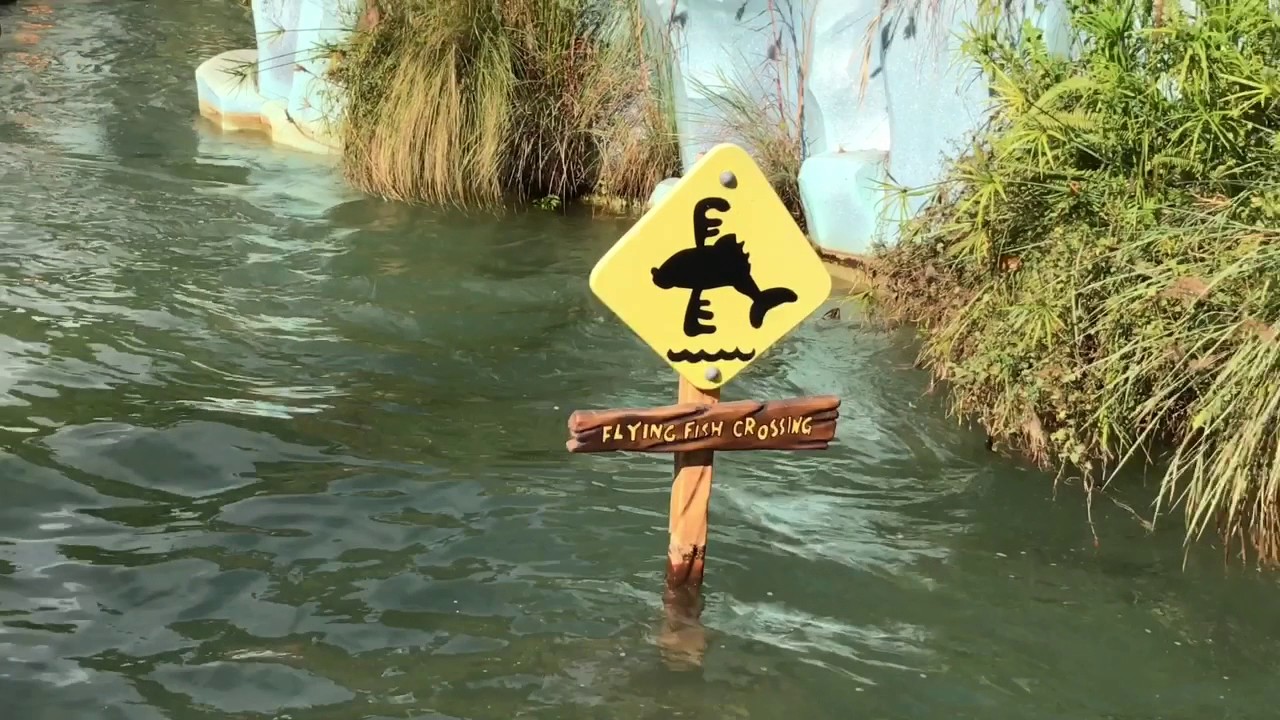 Tour of The Olive at Islands of Adventure YouTube