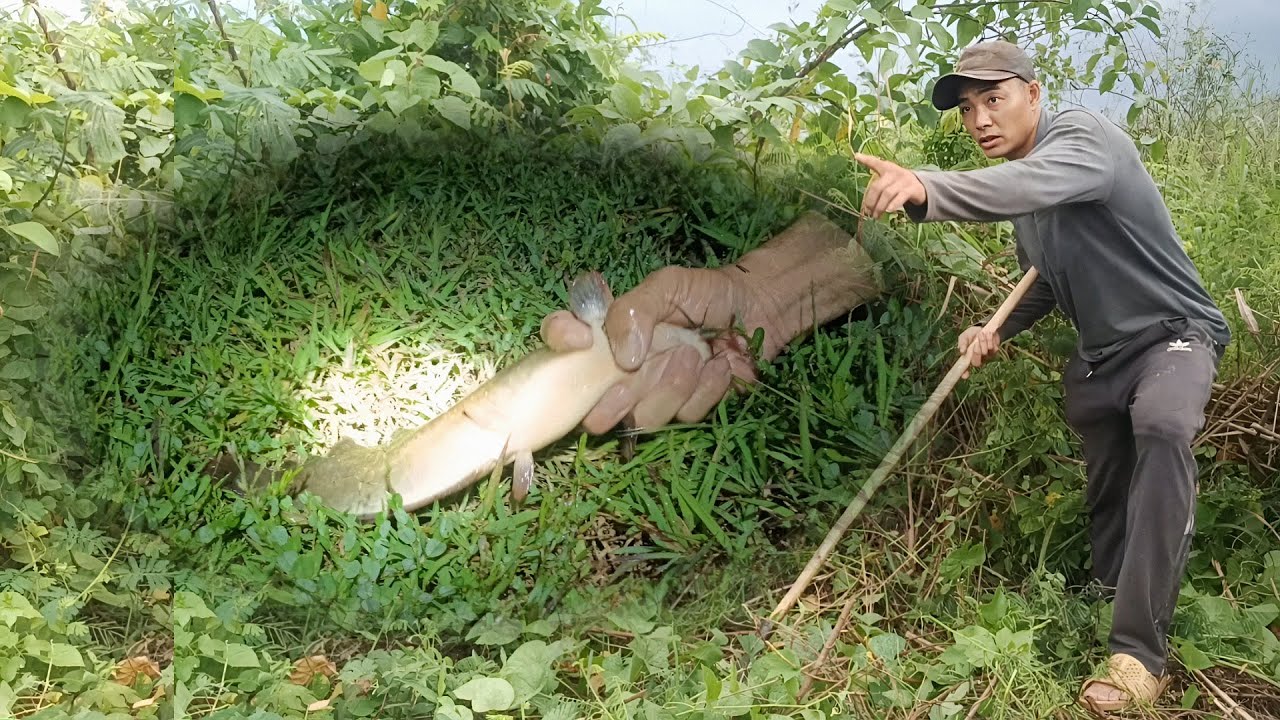 Ночная рыболовная сеть ловит рыбу с небес