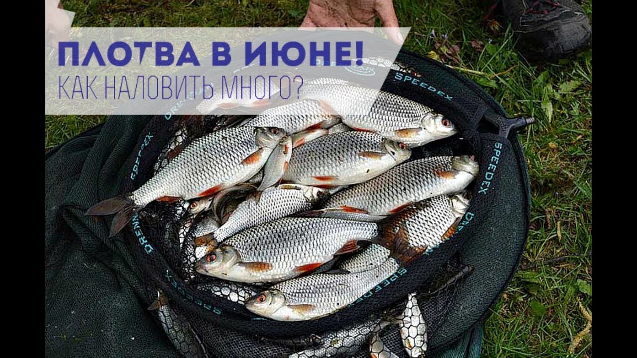 Ловит колею приора