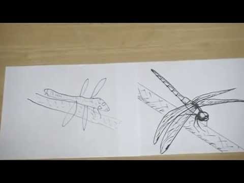 トンボの絵の描き方と方法とコツ Tips And Methods Of How To Draw A Picture Of A Dragonfly Youtube