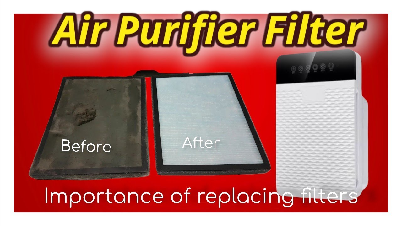 Air Purifier Filter Replacement | 7 Months Review - YouTube