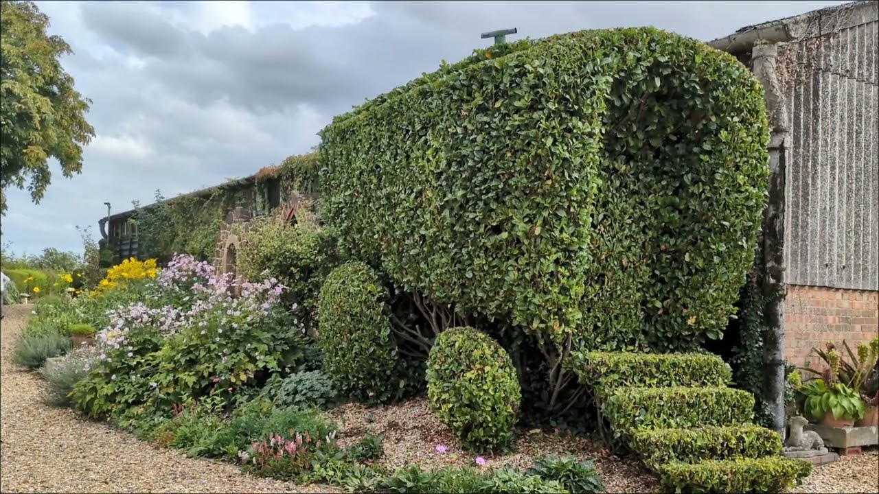 August 2025 an additional opening for the NGS (National Garden Scheme)